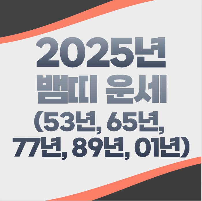 2025년 뱀띠 운세, 새로운 기회를 잡을 준비가 되었나요?(53년생, 65년생, 77년생, 89년생, 01년생)