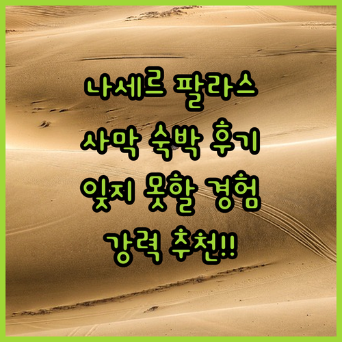 나세르 팔라스 호텔 & 비바우악스 숙
