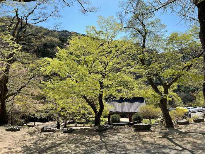 광주의-사찰인-증심사의-내부-전경을-찍은-사진