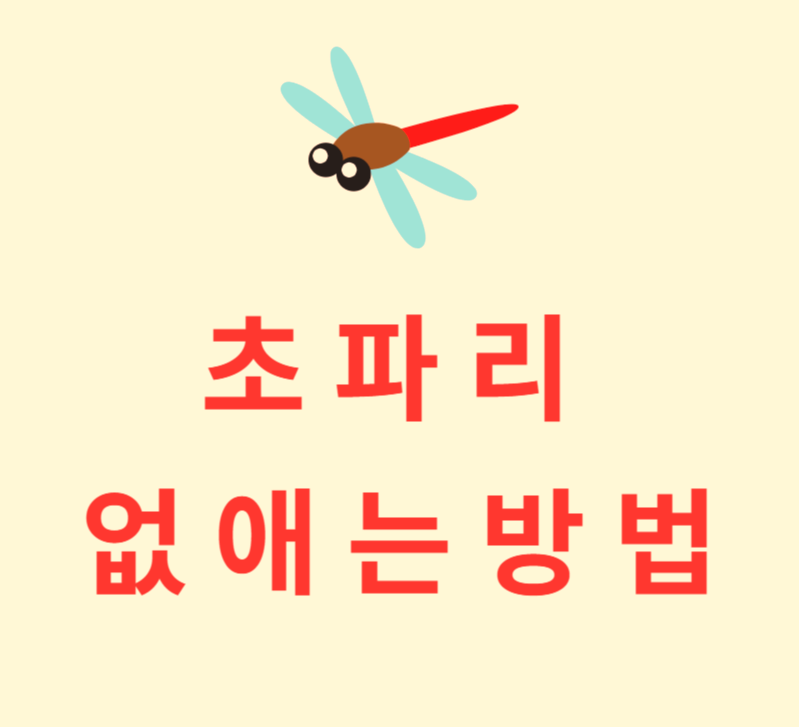  초파리 없애는 방법 4가지