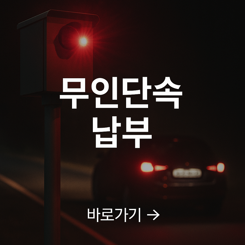 교통범칙금 인터넷 납부&amp;#44;이파인(eFINE) 납부 절차&amp;#44;납부 기한&amp;#44;유의사항