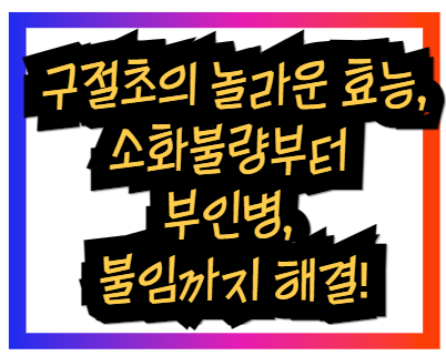 구절초의 놀라운 효능, 소화불량부터 부인병, 불임까지 해결
