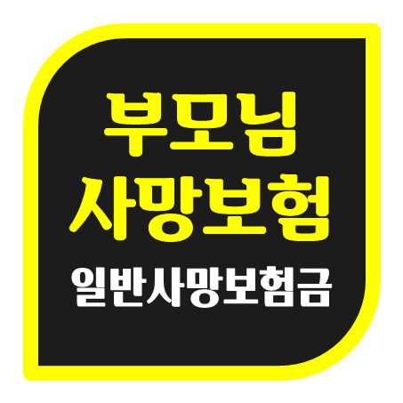  부모님사망보험 가입, 예상치 못한 상황에 대비할 수 있는 일반사망보험금 추천