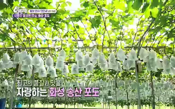 [마이크를 잡아라] 궁평항 수산물 센터 (경기 화성) .ts_20220906_205314.991.jpg