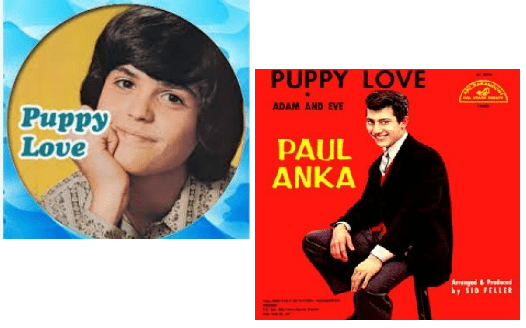 Puppy Love(1972) - Donny Osmond&#44; Paul Anka