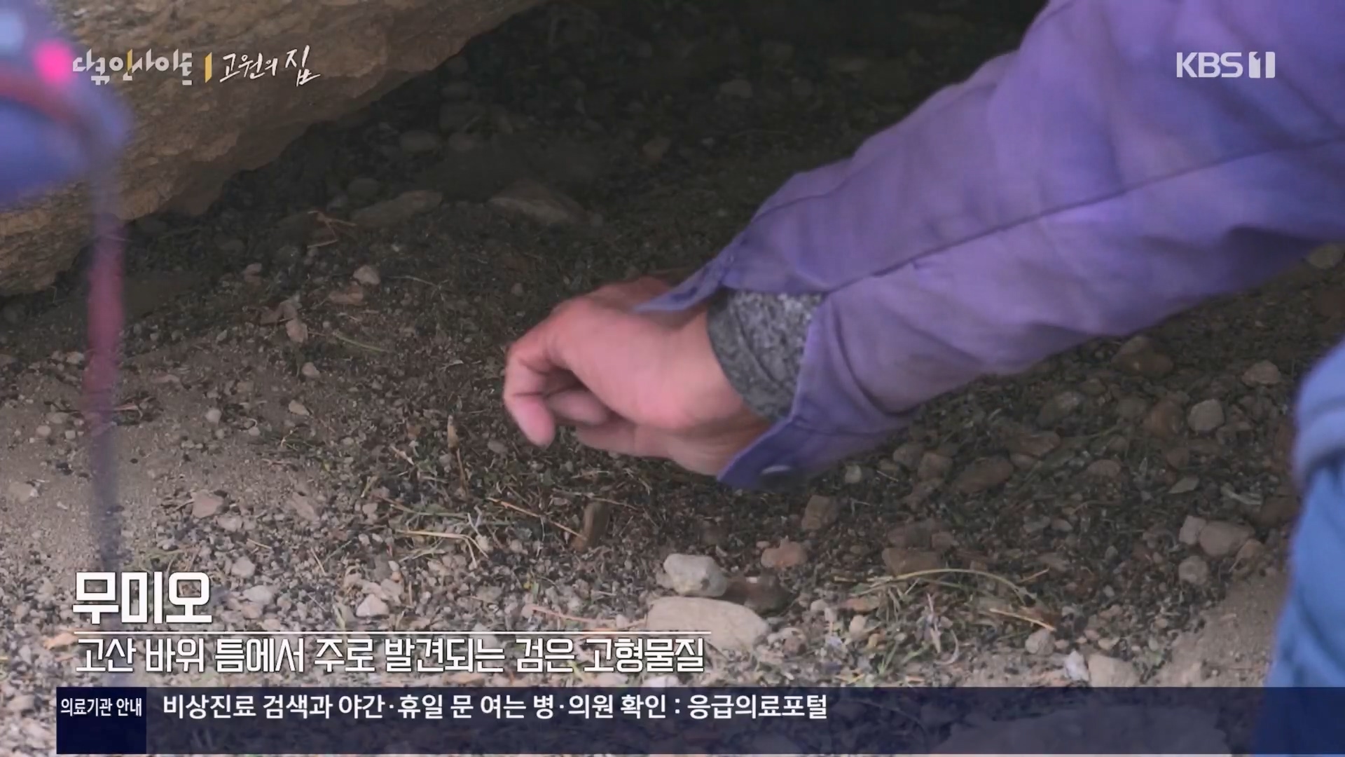 다큐 인사이트.E176.240328p.H264-F1RST.mp4_20240330_162339.874.jpg