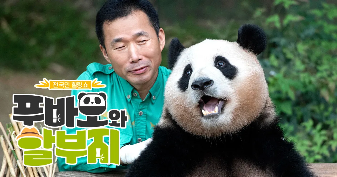 SBS TV프로그램 : 푸바오와 할부지