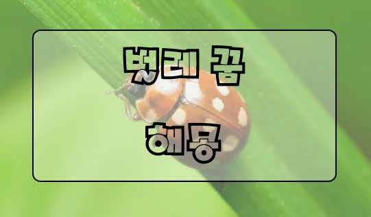 벌레 꿈 해몽