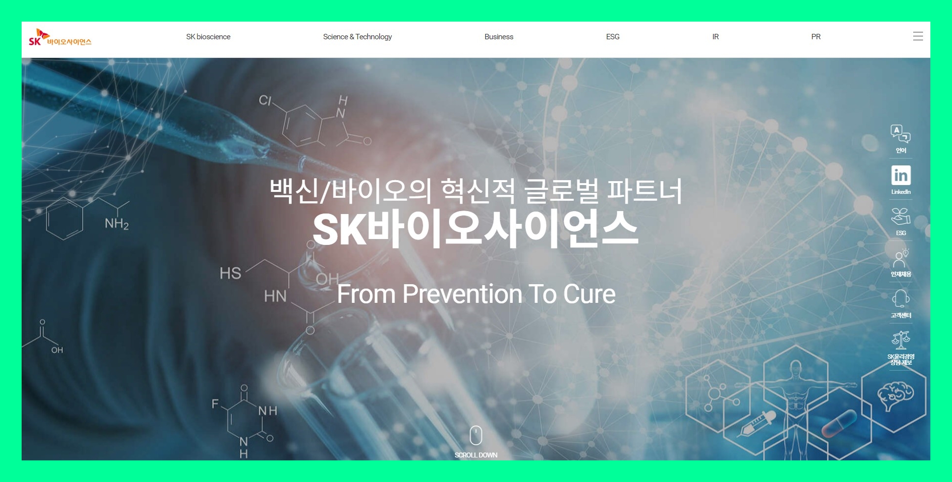 SK바이오사이언스 주식 주가 거래소 공시 시세 (302440) 불성실공시법인지정