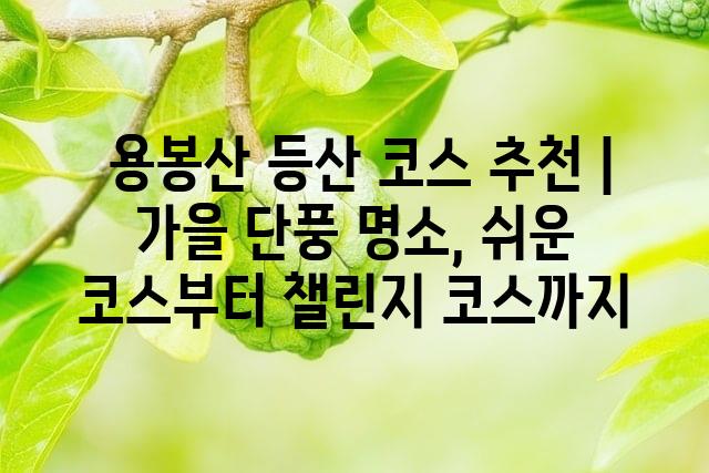 랜덤225