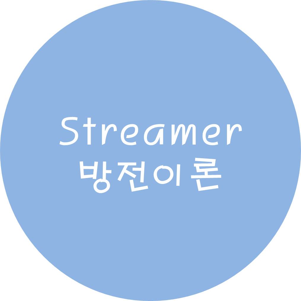  Streamer 방전이론