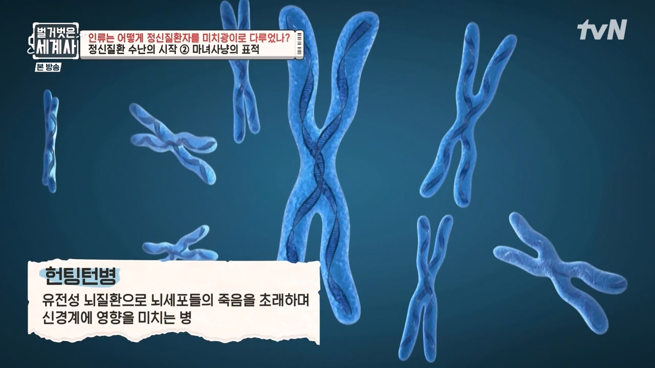 벌거벗은 세계사.E122.231025p-NEXT.mp4_20240525_170336.696.jpg