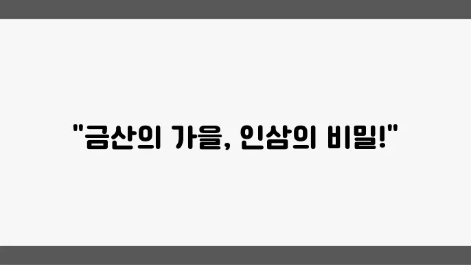인삼의 역사와 축제가 흐르는 금산의 가을