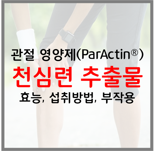  천심련 추출물 관절 영양제 효능 섭취방법 부작용 | ParActin 아나파랙틴