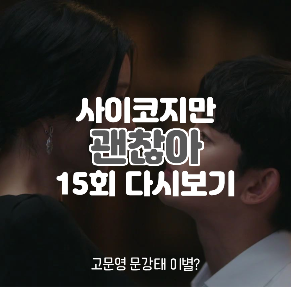  사이코지만 괜찮아 15회 다시보기