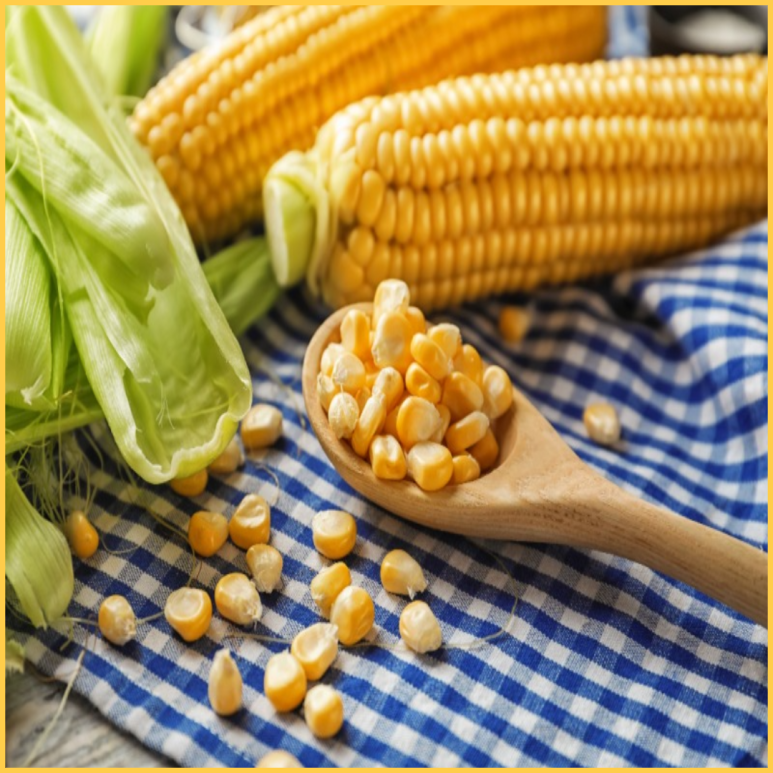핍박 콘 효과 - 칼로리 다이어트 당뇨병 옥수수찜 저장법 옥수수 수염 차 2