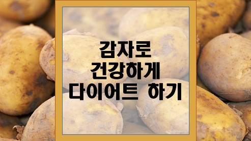 감자로-건강하게-다이어트-하기