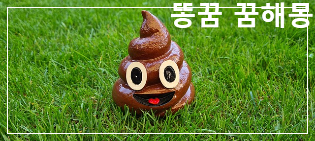  꿈에서 똥꿈은 로또복권이 당첨되는 걸까요?