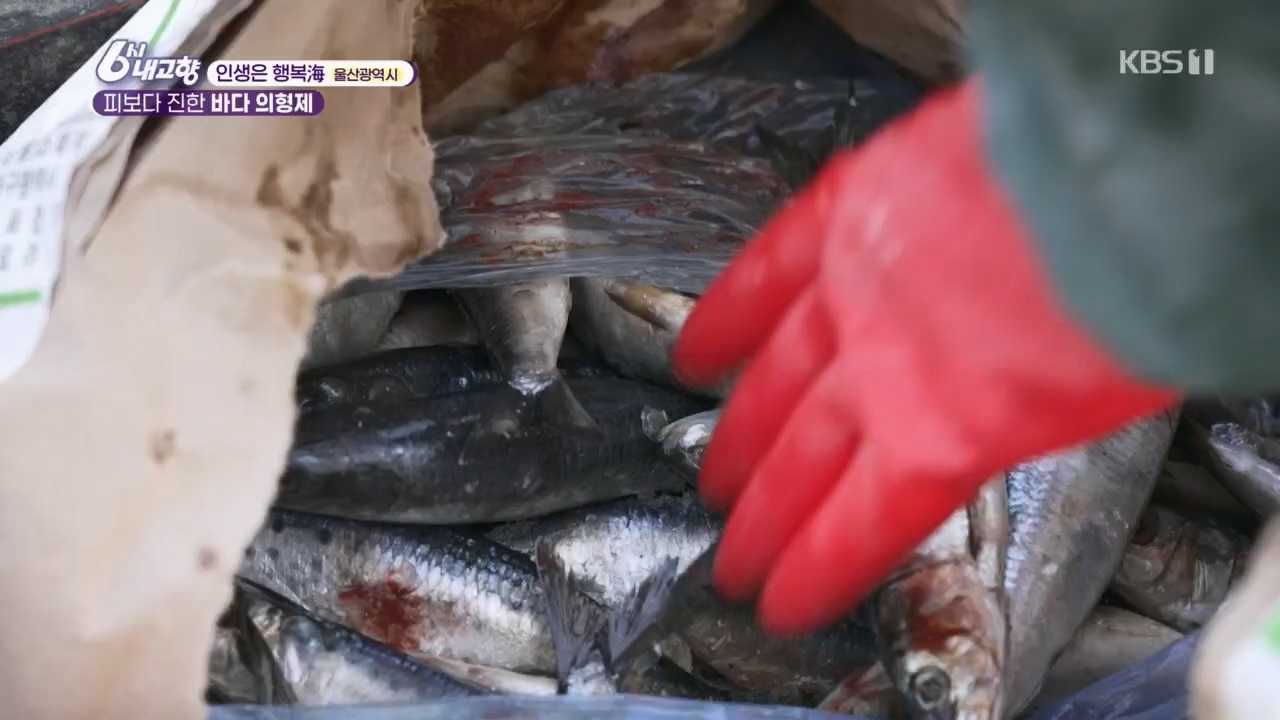 6시 내고향.E7763.230411p.H264-F1RST.mp4_20230411_203326.597.jpg