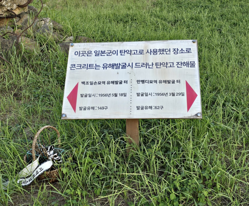 오뉴월 이미지