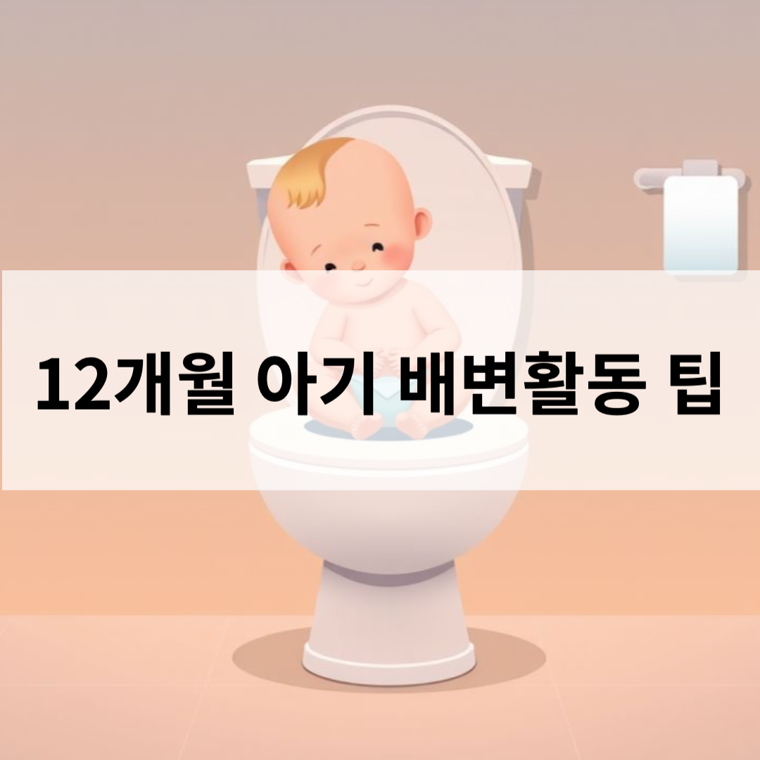 12개월 아기 배변 활동 팁 가이드