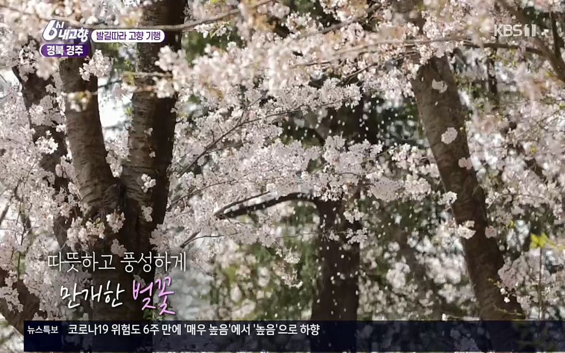 6시 내고향.E7510.220414p.H264-F1RST.mp4_20220419_185011.364.jpg