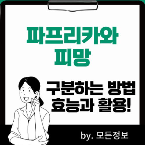 파프리카 피망 구분하는 방법, 효능