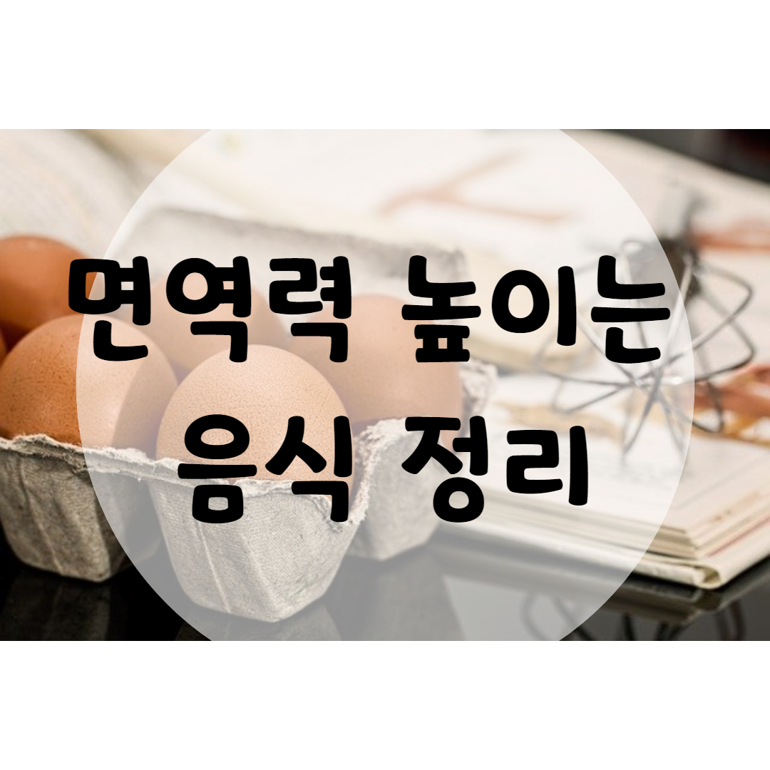  면역력 높이는 음식 영양별 정리