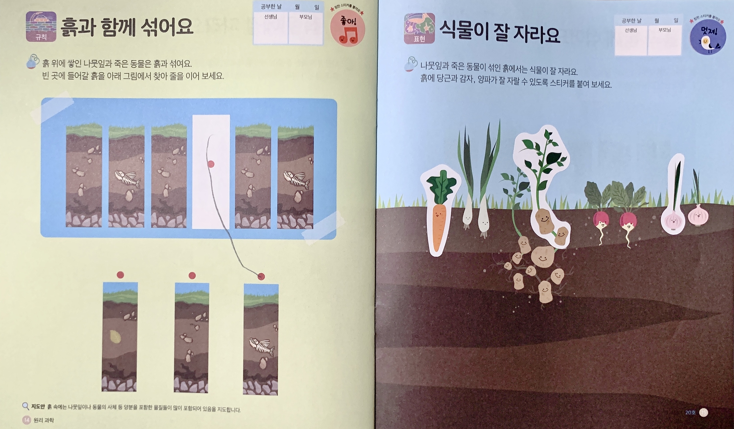 가나키즈 10