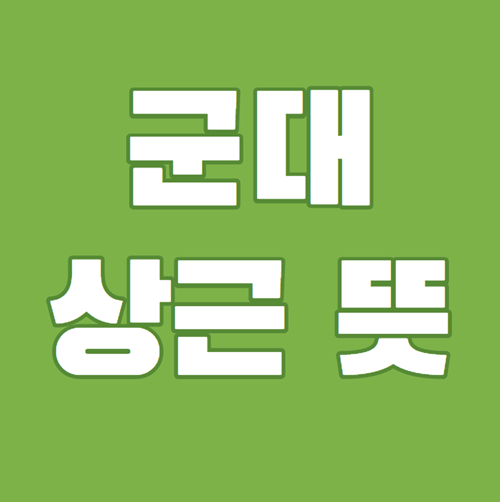  군대 상근 뜻과 선발기준