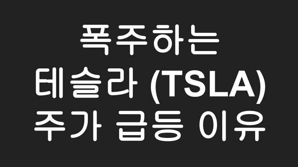  폭주하는 테슬라(TSLA) 주가,  Tesla 주식에 이제라도 올라타야 할까?