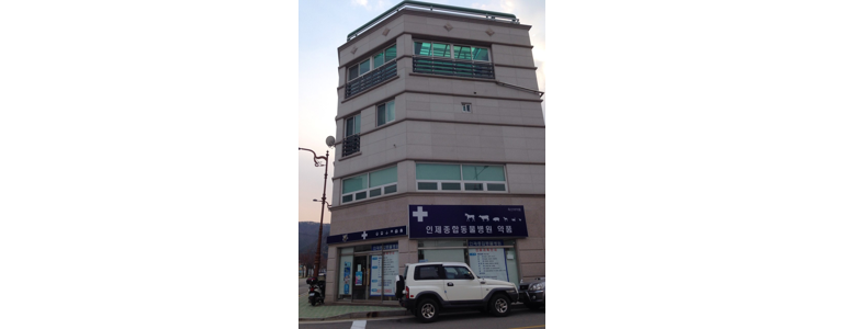 인제군 동물병원