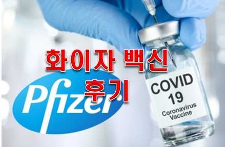  화이자백신후기 도대체 무슨 차이일까?