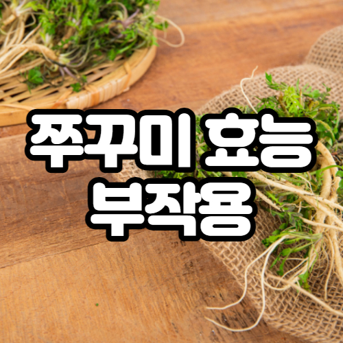  쭈꾸미 효능, 부작용