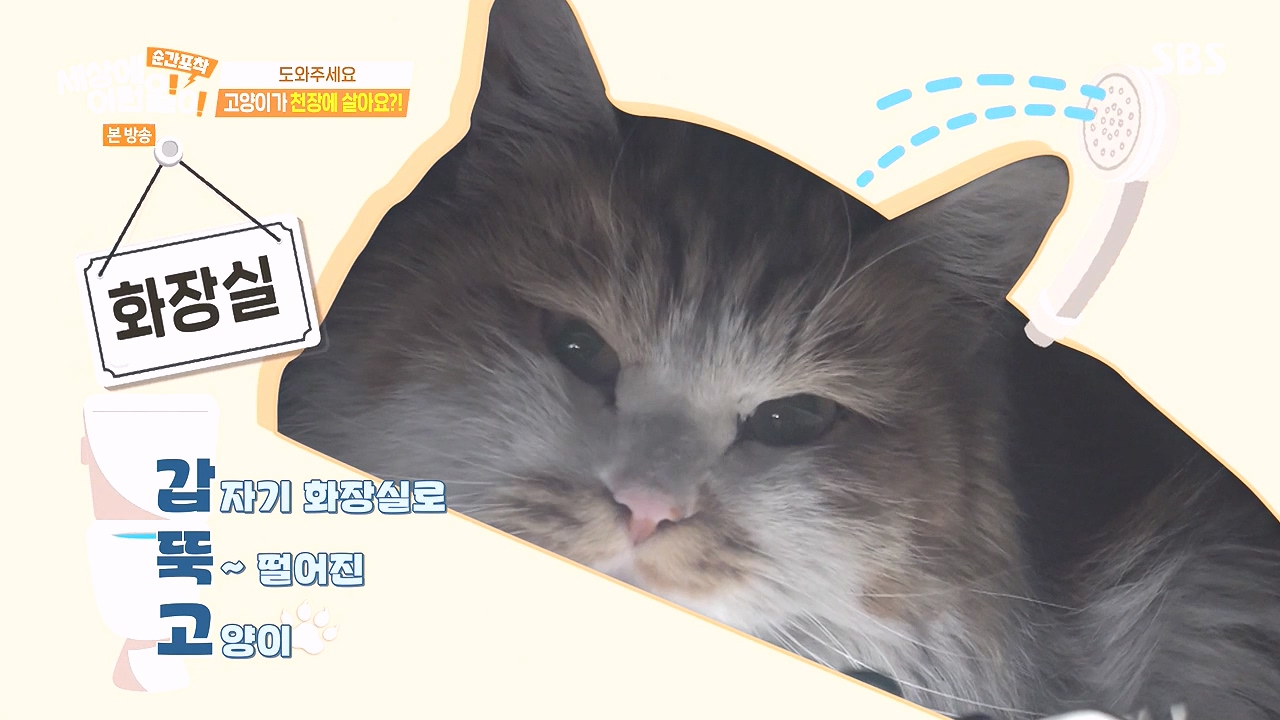 순간포착 세상에 이런일이.E1259.240107p-NEXT.mp4_20240107_161544.949.jpg