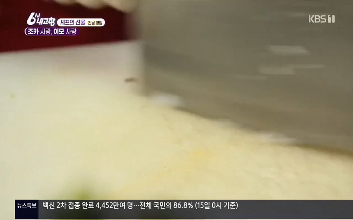 6시 내고향.E7512.220416p.H264-F1RST.mp4_20220502_193832.226.jpg