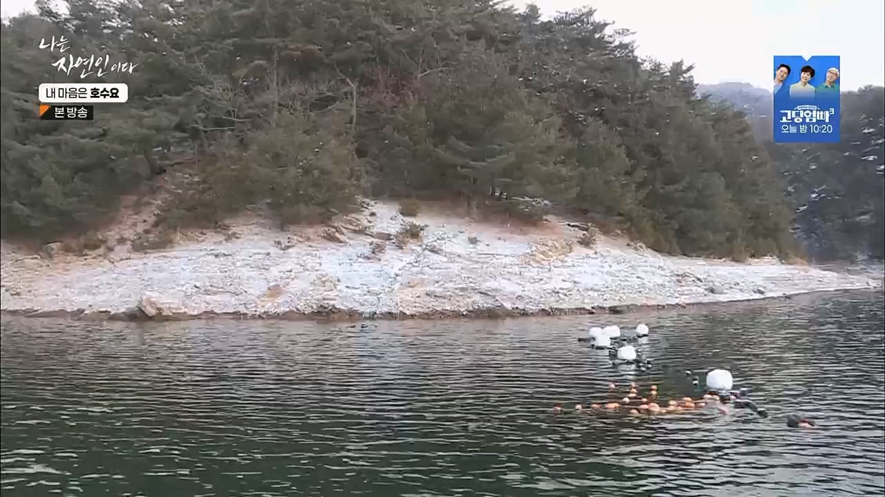 나는 자연인이다.E540.230209p.H264-F1RST.mp4_20230209_203730.227.jpg