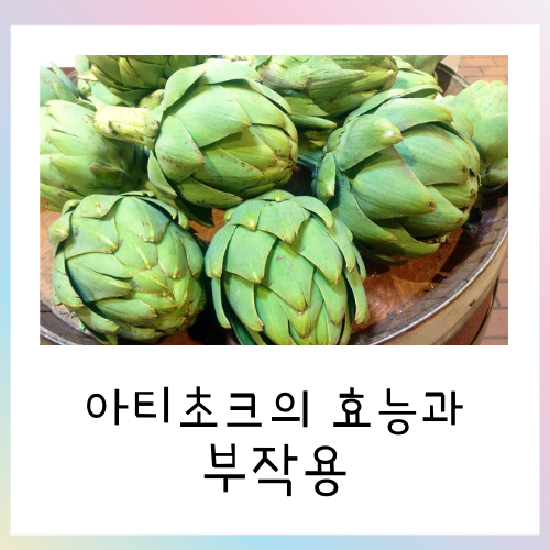  아티초크 효능과 부작용에 관해서