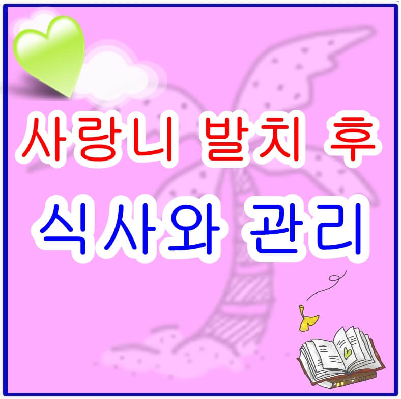 사랑니 발치 후 식사