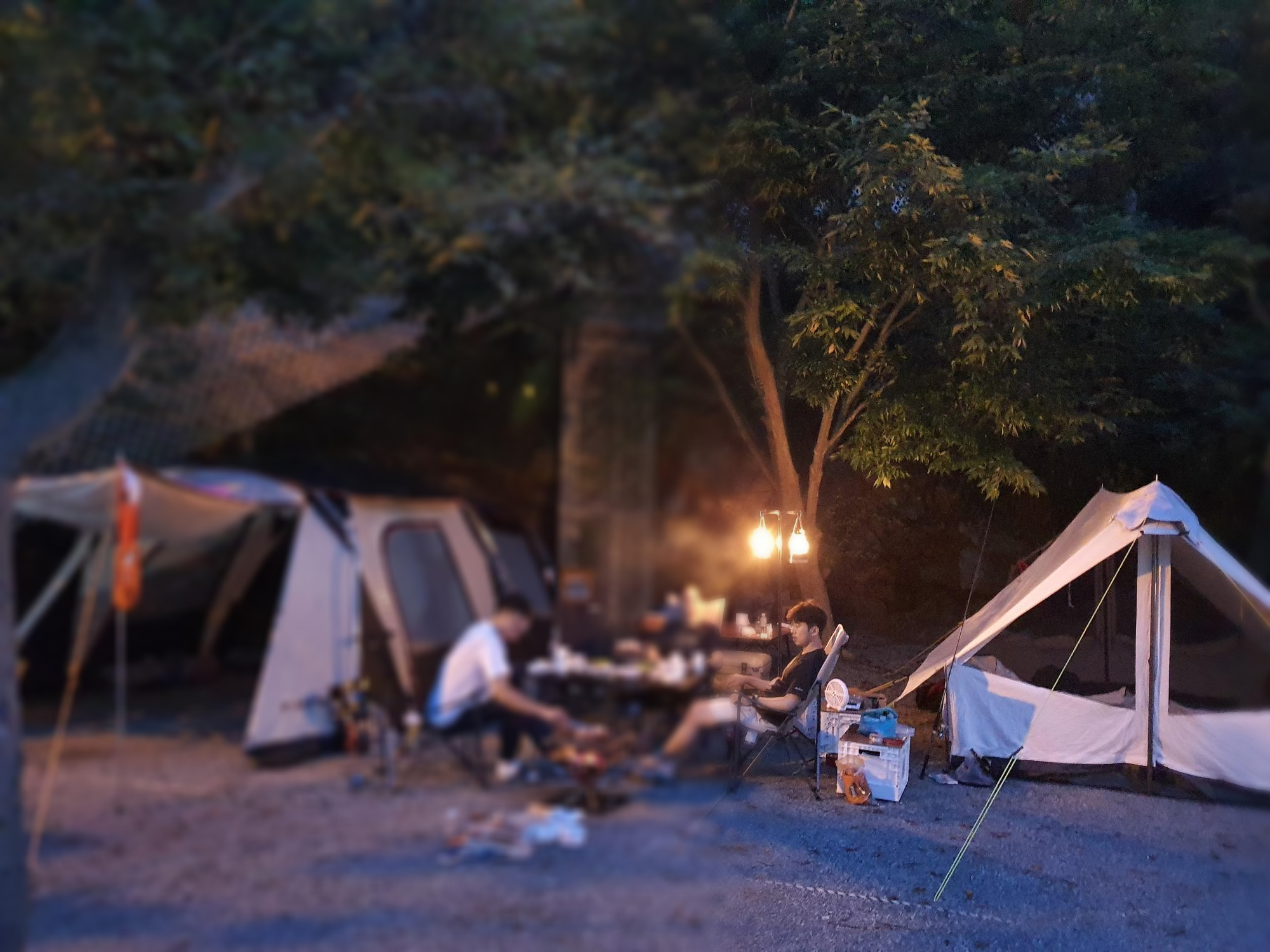  면텐트 오두막 7.8 / 태안송도오토캠핑장 / 캠낚 서해안 캠핑장 추천 2