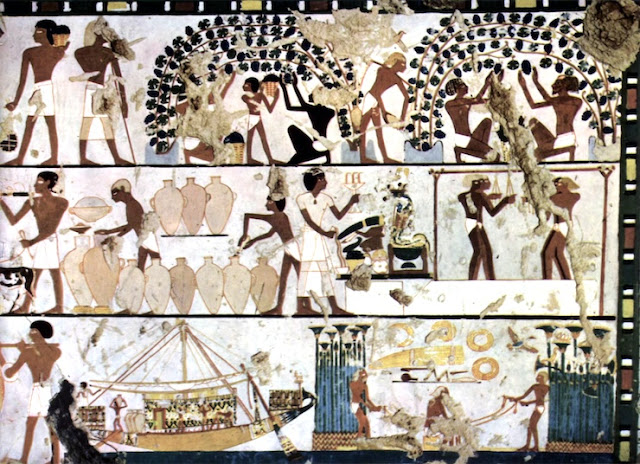 고대 이집트의 포도 재배와 와인 양조 모습