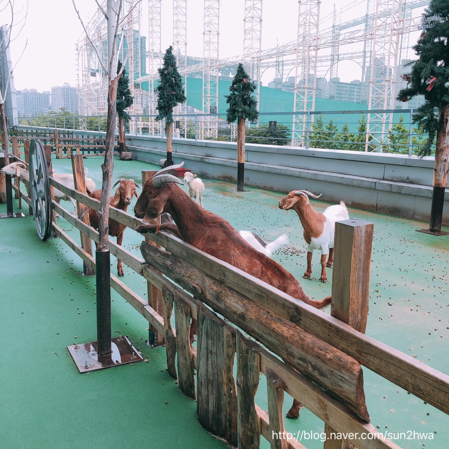부천(어린이집휴식) 서울 근교 나들이 놀이 아쿠아리움 14