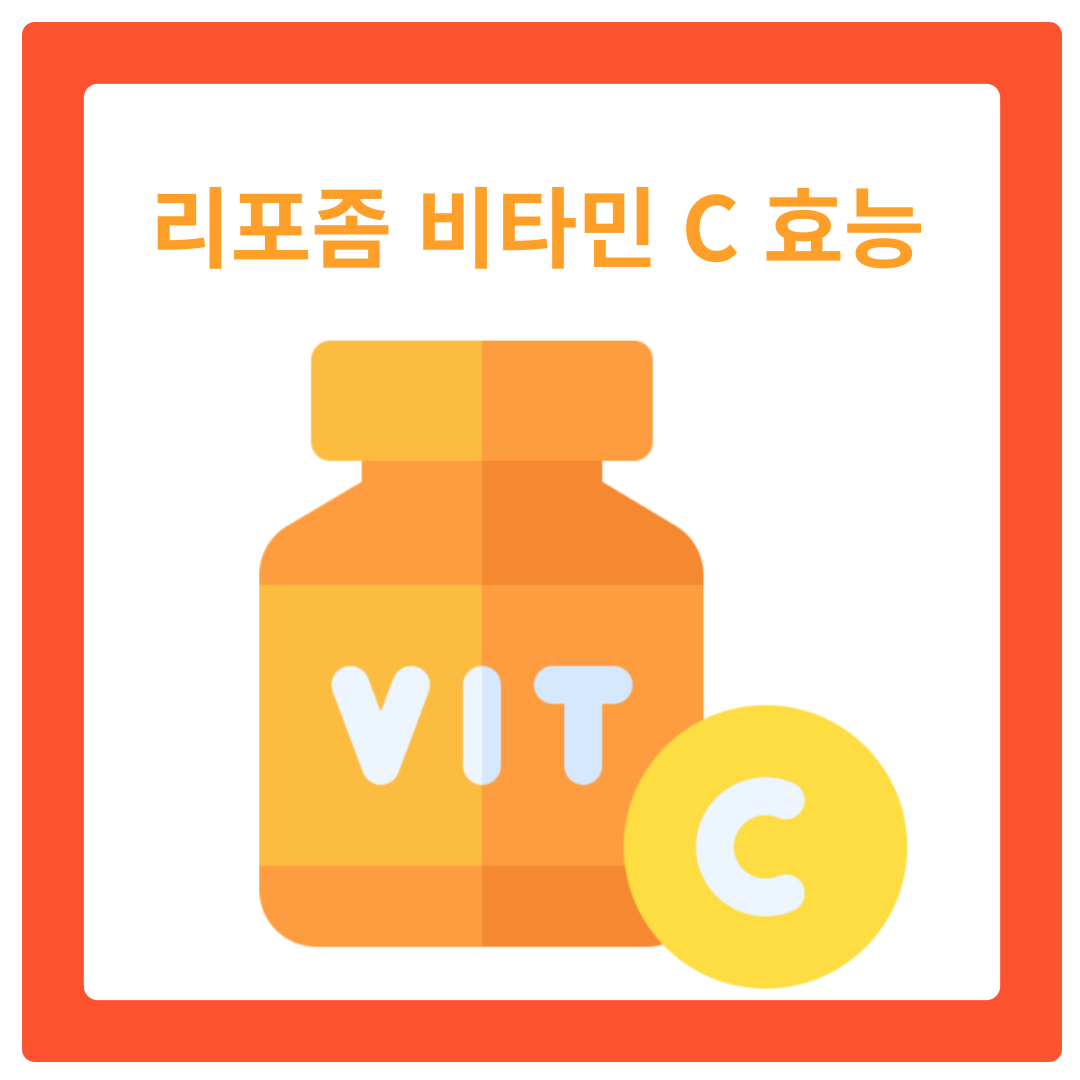  리포좀 비타민C 효능: 리포좀 비타민씨 흡수율을 높이는 혁신적인 제형