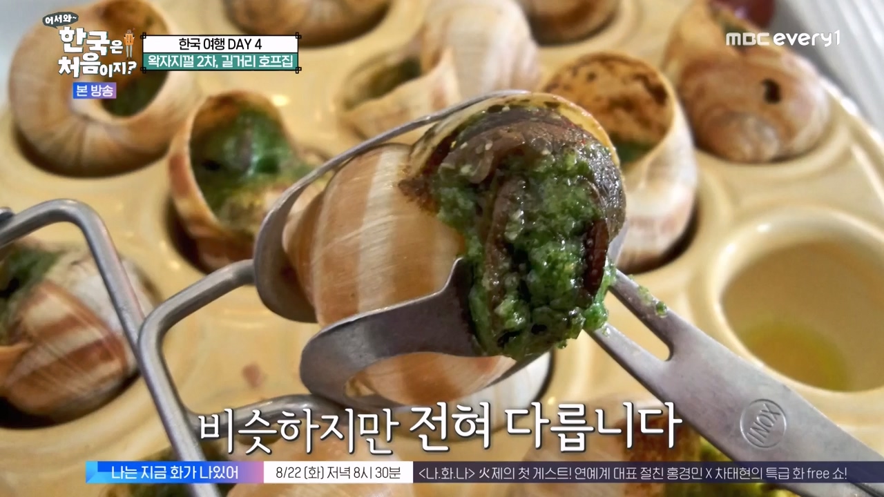 어서와 한국은 처음이지 시즌2.E276.230818p-NEXT.mp4_20230818_203605.082.jpg