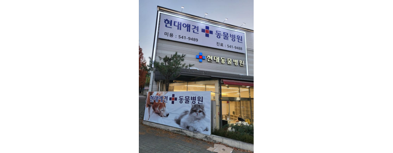 포천시 동물병원