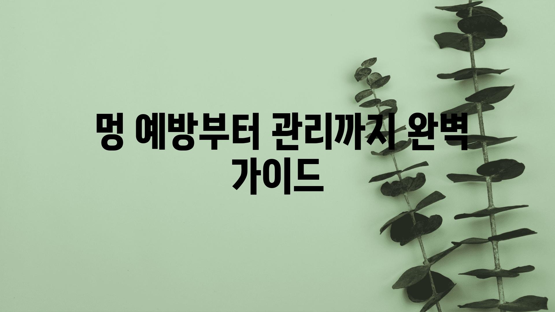  멍 예방부터 관리까지 완벽 설명서