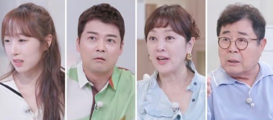 패널들