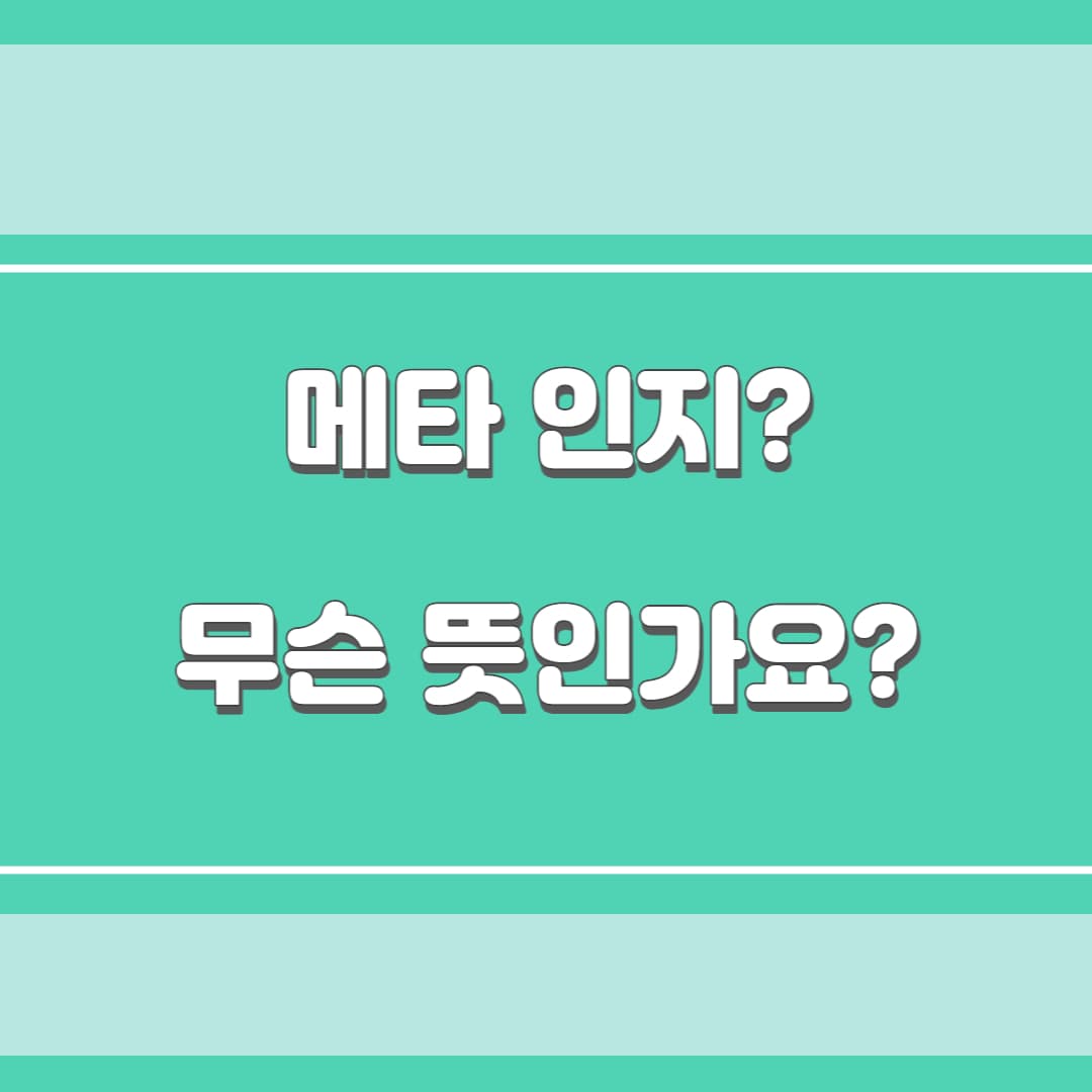 메타인지란?