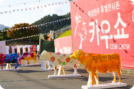 횡성한우축제 체험 프로그램