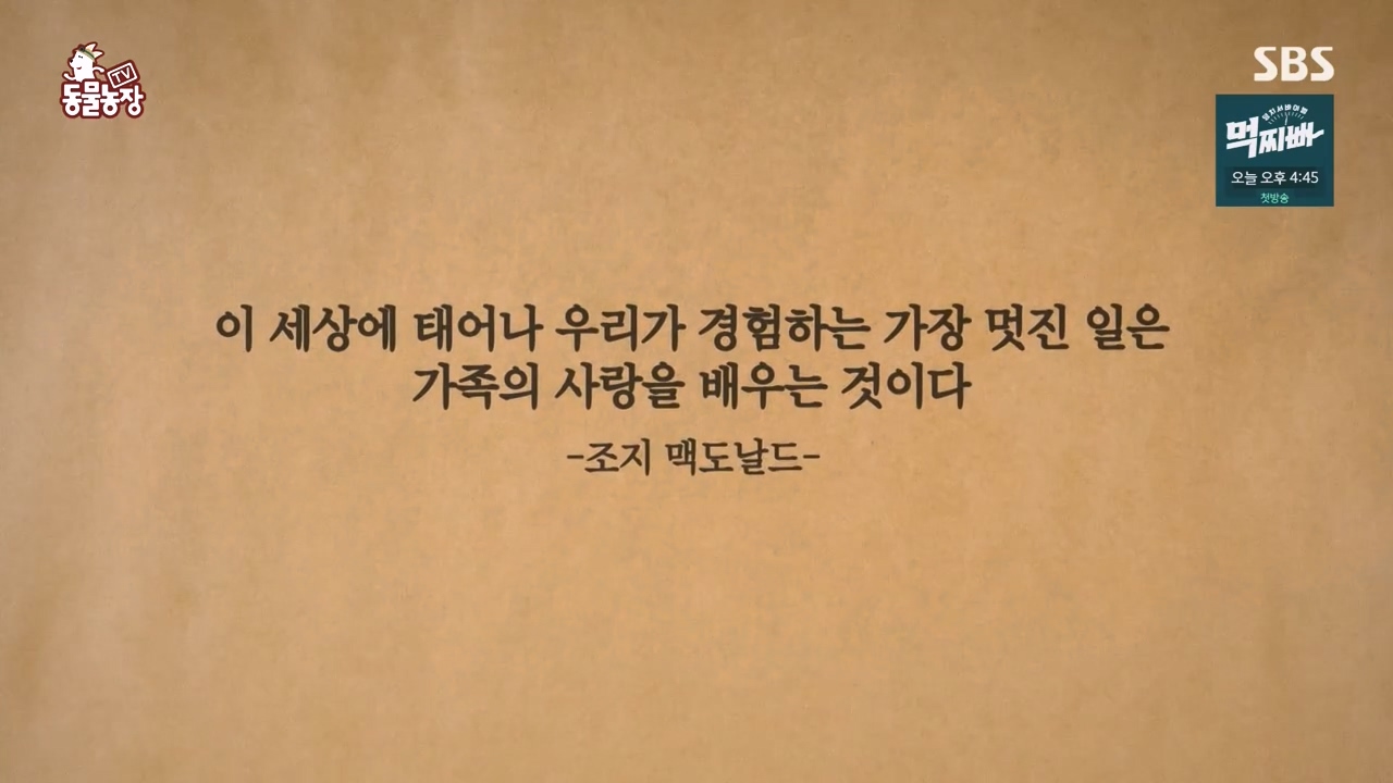 TV 동물농장.E1140.231009p-NEXT.mp4_20231008_172155.873.jpg